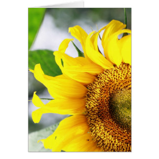 Du hast mein Leben aufgeheizt