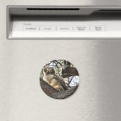 Du hast meine Augen Liebe? -Magnet Magnet (In Situ (Geschirrspüler))