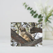 Du hast meine Augen Liebe? -Postkarte Postkarte (Stehend Vorderseite)