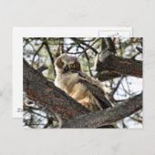 Du hast meine Augen Liebe? -Postkarte Postkarte (Vorne/Hinten)