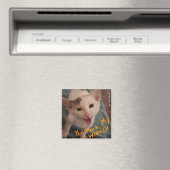 Du hast meine Welt rock! Kätzchenmagnet Magnet (In Situ (Geschirrspüler))