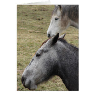 Du hast mich gemacht, aber ich habe dich immer noc