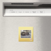 Du hast mich geweckt magnet (In Situ (Geschirrspüler))