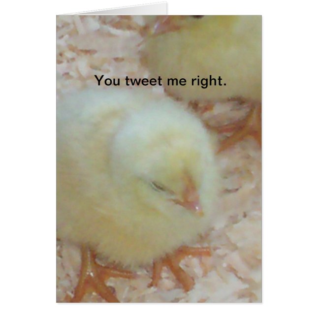 Du hast mich richtig getweetet. (Vorne)