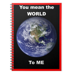 Du hast mir die Welt gemein! Notizblock