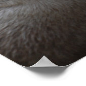 Du hast mir eine andere Welt Gemein, andere Liebe  Poster (Ecke)