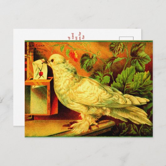 Du hast Post! Postkarte (Vorne/Hinten)