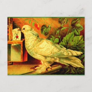 Du hast Post! Postkarte