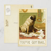 Du hast Post Postkarte (Vorne/Hinten)