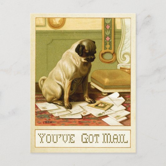 Du hast Post Postkarte (Vorderseite)