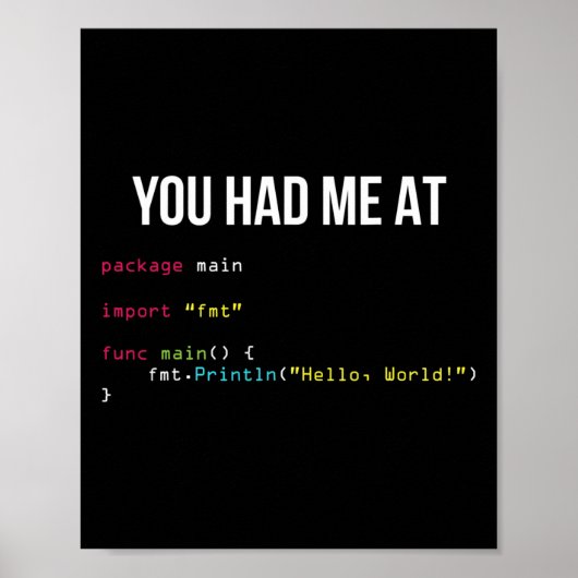 Du hattest mich bei Hallo Welt Coding Cool Gaming Poster (Vorne)