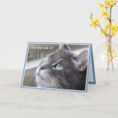 Du hattest mich bei Meow Happy Anniversary Niedlic Karte (Gelbe Blume)