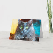 Du hattest mich bei Meow Niedlich Gray Cat Fotogra Karte (Vorderseite)