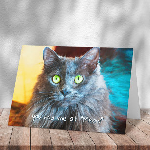 Du hattest mich bei Meow Niedlich Gray Cat Fotogra Karte