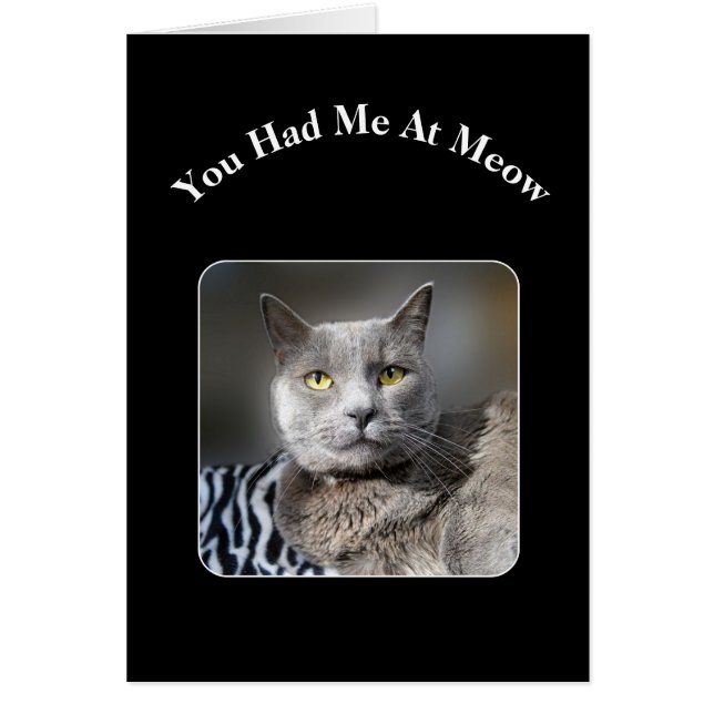 Du hattest mich in der russischen blauen Katze (Vorne)