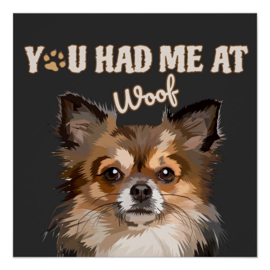 Du hattest mich in Woof | Spitz Hunde Liebhaber Poster (Vorderseite)