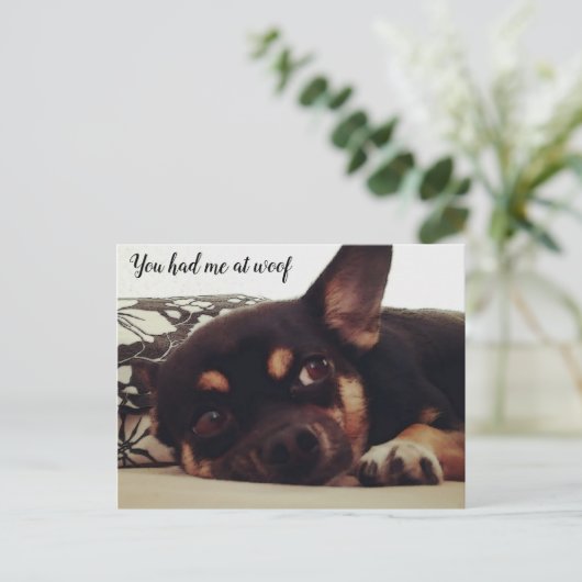 Du hattest mich in Wucht. Chihuahua Postkarte. Postkarte (Stehend Vorderseite)
