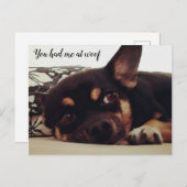 Du hattest mich in Wucht. Chihuahua Postkarte. Postkarte (Vorne/Hinten)
