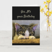 Du kannst es nicht verbergen, es ist dein Geburtst Karte (Gelbe Blume)