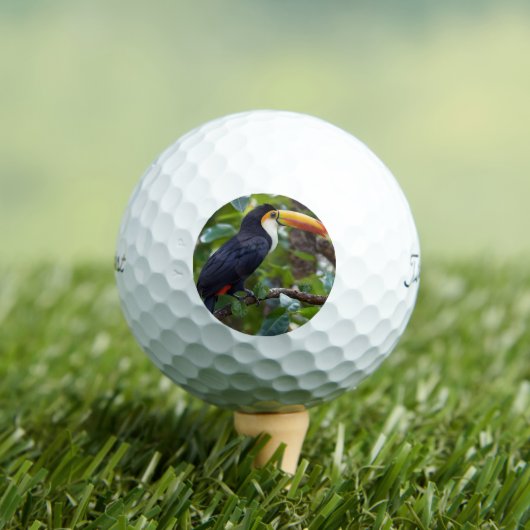 Du kannst in den Baumkronen sitzen, Golfball (Insitu T-Shirt)