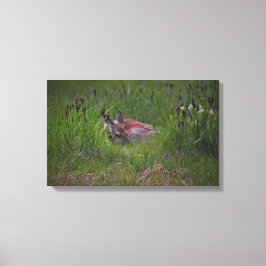 Du kannst mich nicht sehen! leinwanddruck