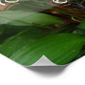 Du kannst nicht jedem Weisheit-Sprichwort-Poster g Poster (Ecke)