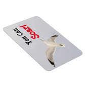 Du kannst steigen! magnet (Rechte Seite)