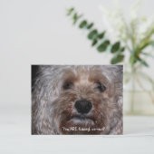 Du machst Witze, richtig? Postkarte (Stehend Vorderseite)