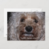 Du machst Witze, richtig? Postkarte (Vorne/Hinten)