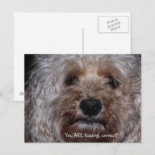 Du machst Witze, richtig? Postkarte (Vorne/Hinten)