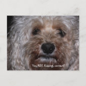 Du machst Witze, richtig? Postkarte (Vorderseite)