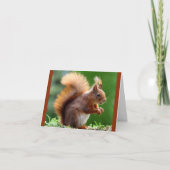 Du magst Nüsse. Karte (Vorderseite)