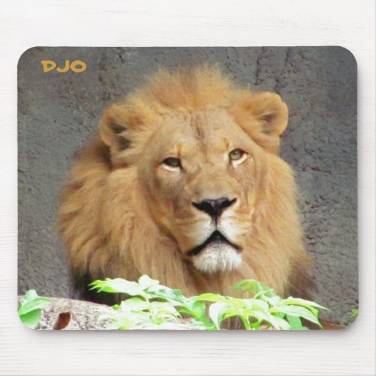 Du musst Lion sein Mousepad (Vorne)
