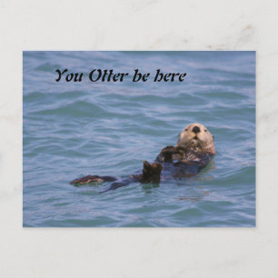 Du Otter bist hier Postkarte