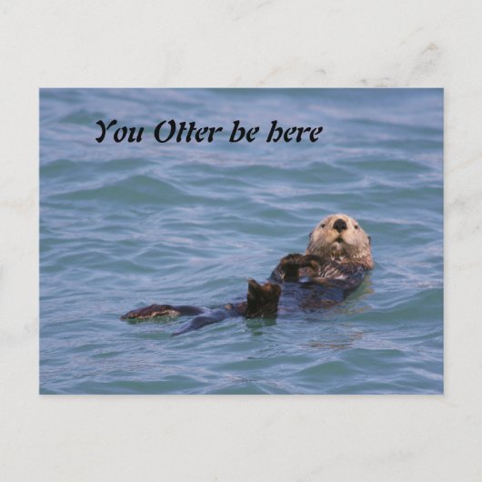 Du Otter bist hier Postkarte (Vorderseite)