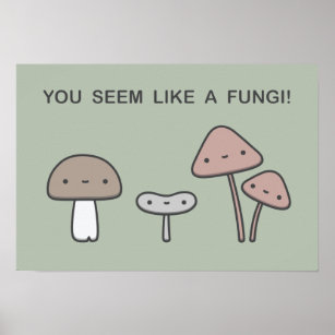 Du scheinst wie ein Fungi zu sein! Poster