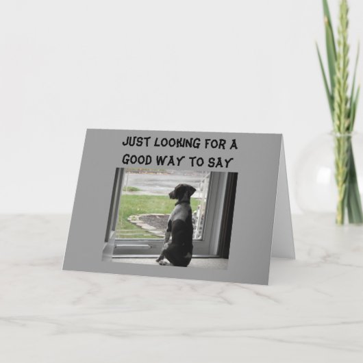 DU SEHST GUT AUF ÜBER DEM HÜGEL AUS KARTE (Vorderseite)