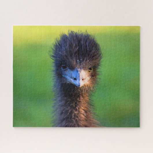 Du siehst mich an? - Emu Jigsaw Puzzle - 16x20 (Horizontal)