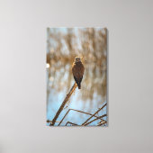 Du siehst mich an? leinwanddruck (Vorderseite)