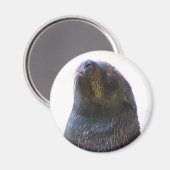 Du siehst mich an! magnet (Vorderseite/Rückseite)