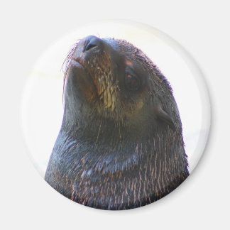 Du siehst mich an! magnet