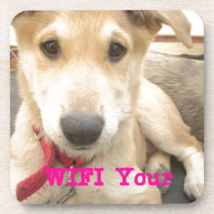 Du solltest deine Liebe jeden Tag mit WLAN verbind Untersetzer