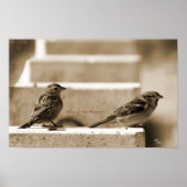 Du und ich für immer poster (Vorne)