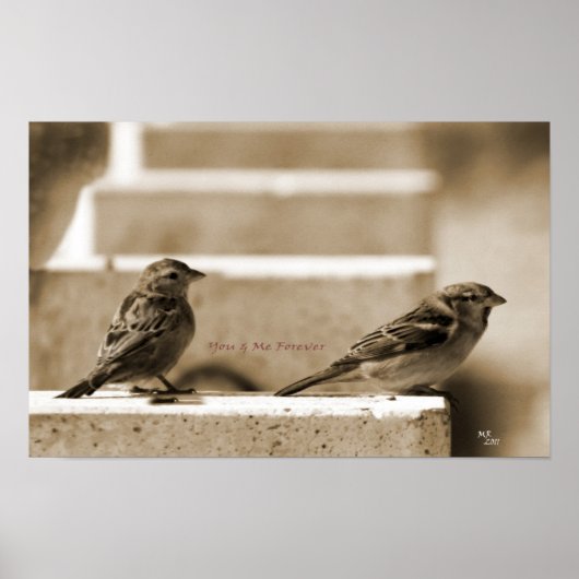 Du und ich für immer poster (Vorne)