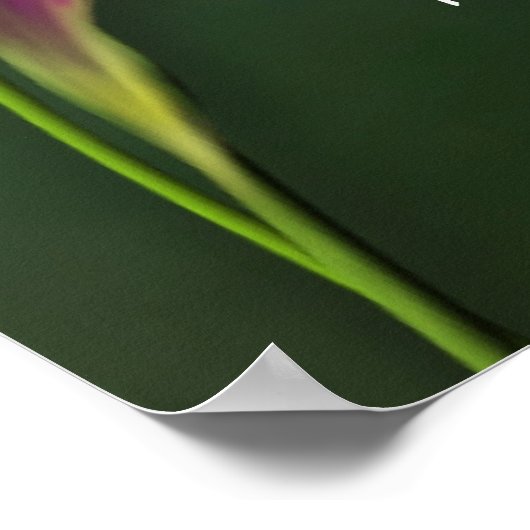 Du warst da poster (Ecke)