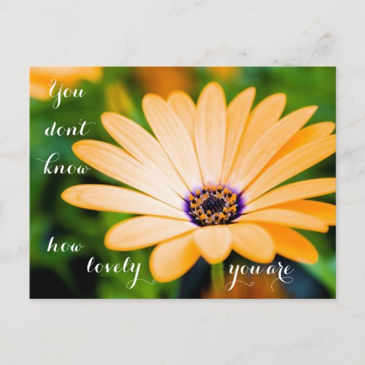 Du weißt nicht, wie schön du bist postkarte (Vorderseite)