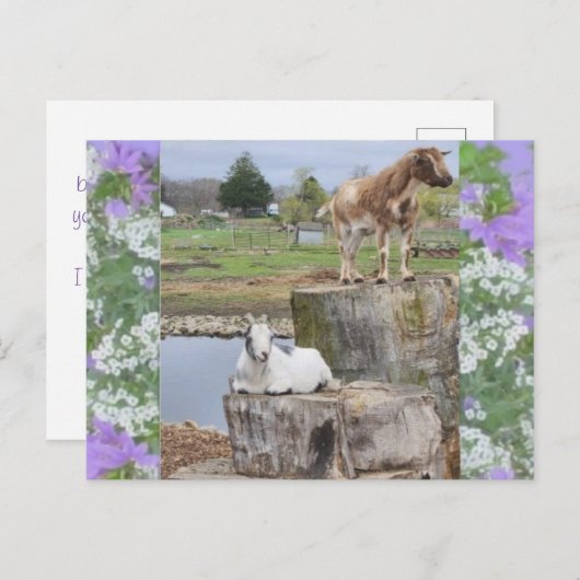 "Du willst mich zum Scherz machen!" Postkarte (Vorne/Hinten)