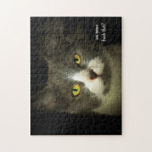 Du wirst das beenden? Cat Meme-Vorlage Puzzle (Vertikal)