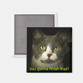 Du wirst das beenden? Hungry Kitty Magnet (Vorderseite/Rückseite)