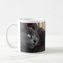 Du wirst immer mein Baby sein. Katzen-Kaffeetasse